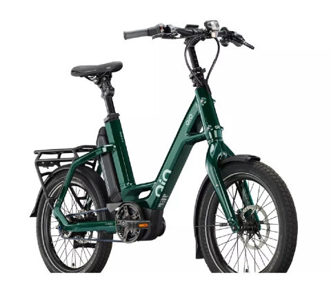QiO EINS P-5 Forest Green mit Rücktrittbremse