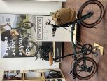 Brompton G Line Brooks Edition Forest Green